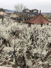 花果山神祕穀風景區