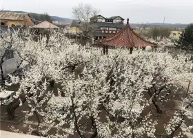 Huaguo Shan Shenmi Gu Sceneic Area