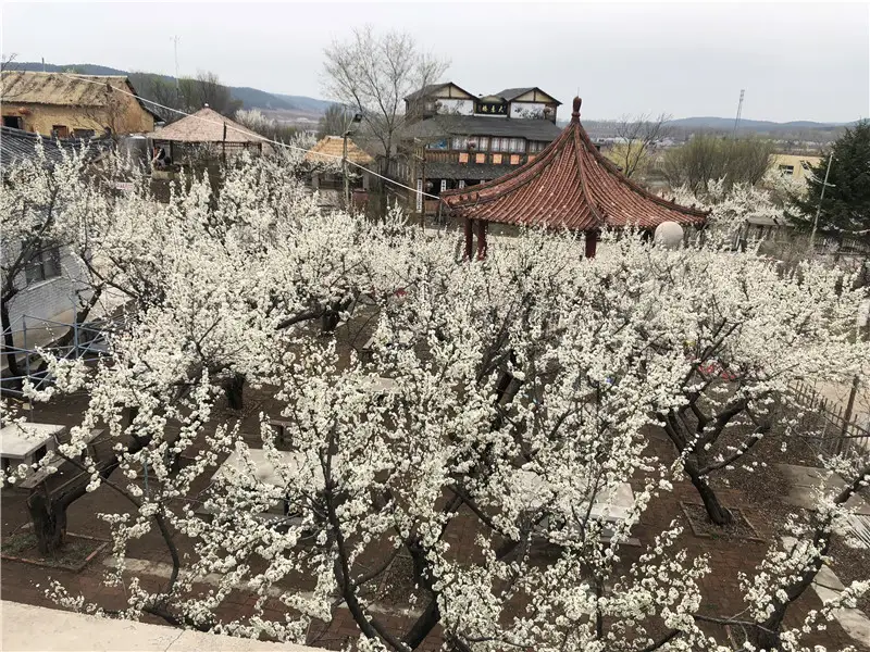 花果山神祕穀風景區