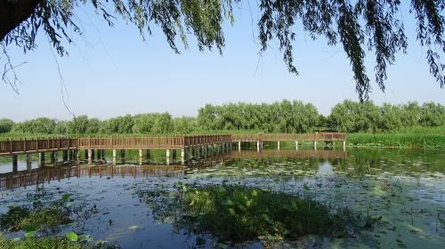 Longwan National Archaeological Site Park