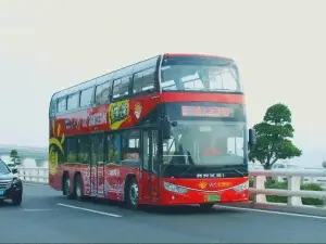 鷺島觀光旅遊巴士