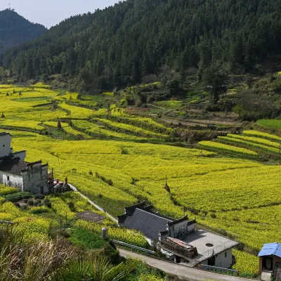 Ulasan Tianyou Holiday Hotel (Wuyuan High Speed Railway Station)