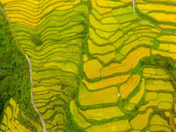 Heishan Terraces