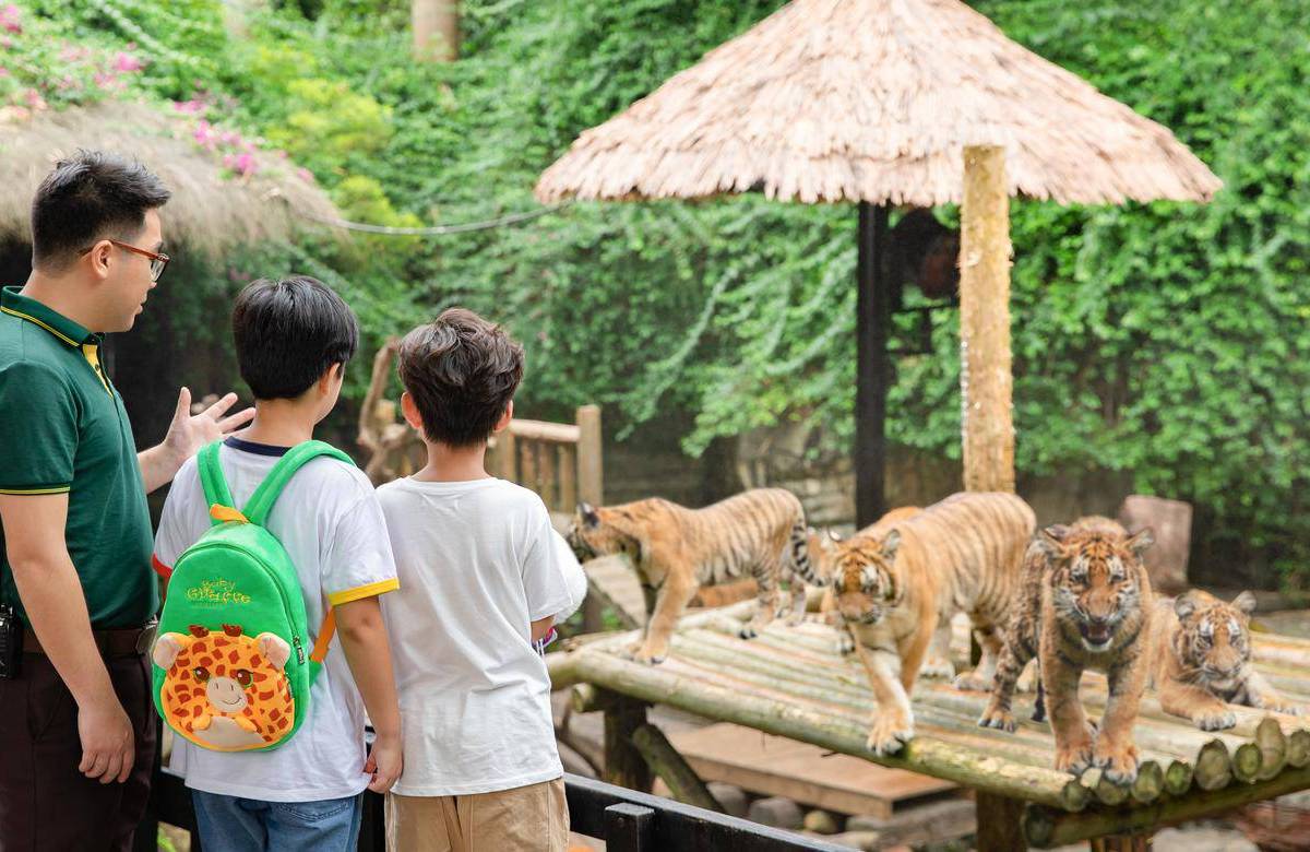 長隆野生動物園へのアクセスガイド