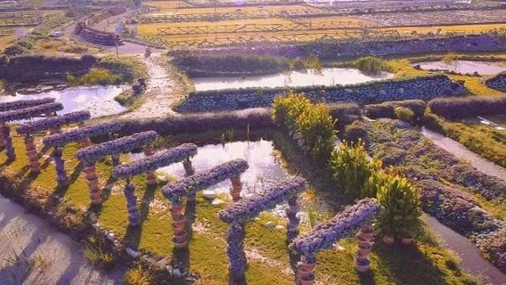 Mushi Succulent Manor