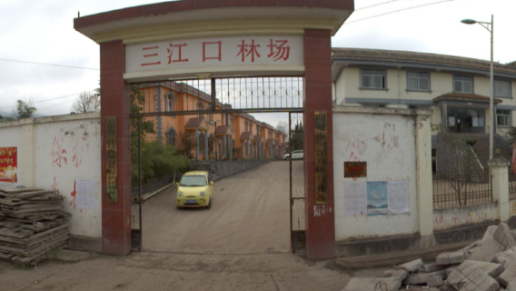 Sanjiangkou State-Owned Forest Farm, Zhaotong City, Yunnan Province