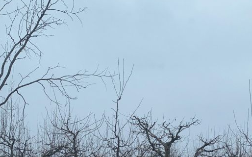 Yunzhuhu Lihuadao Nongye Ecological Park