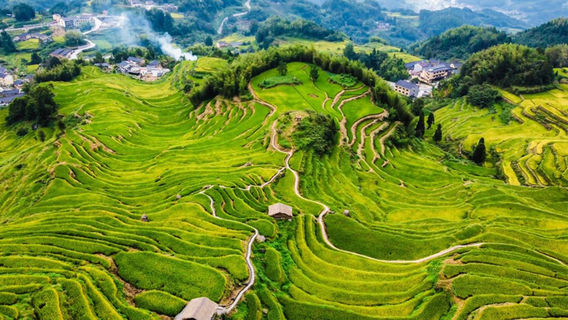 Yunhe Terrace Scenic Area