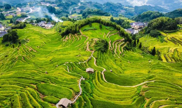 Terraced Fields Viewing in Yunhe