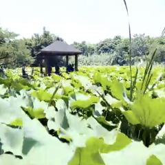 THE HOUSE OF RONG User Photo