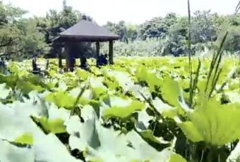 THE HOUSE OF RONG User Photo