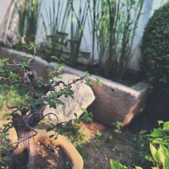 九里羊汤馆(鼓楼园林店) User Photo