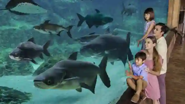 Singapore Zoo 1-day tour [Daytime + River Safari + Night Safari/Daytime + Night Safari + Private Transfer]