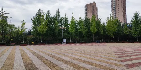 苗圃公園