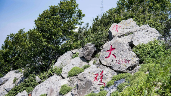 Mt. Zhaodaji Forest Park