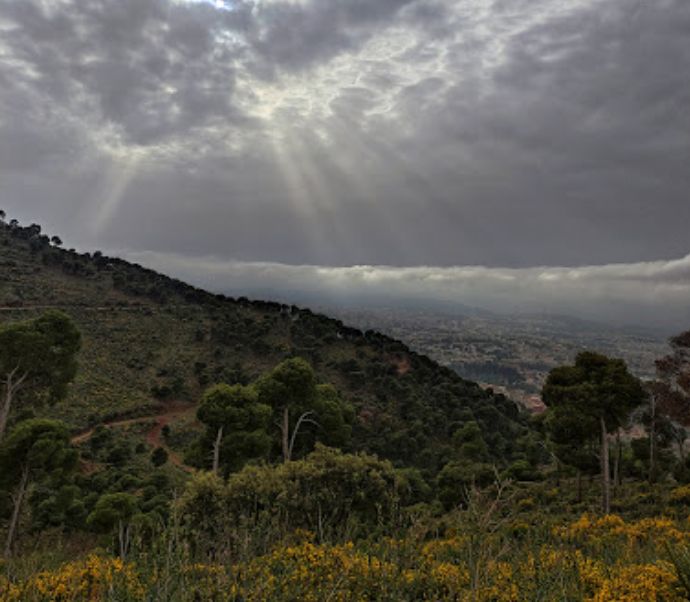 Tlemcen National Park