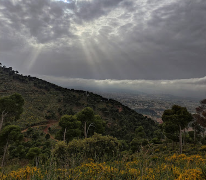 Tlemcen National Park