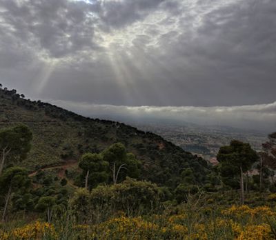 Tlemcen National Park