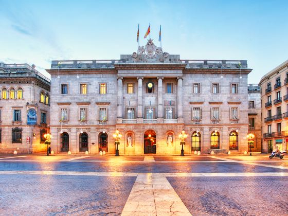 City Hall (Casa de la Ciutat / Ayuntamiento)