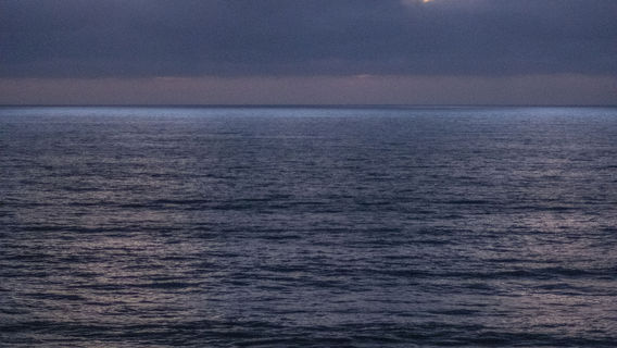 Playas de Tijuana