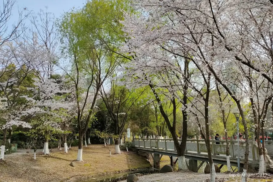 Dabaidang City Ecological Park （West Gate）