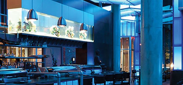 Blue Sushi Sake Grill