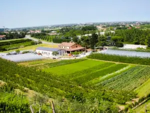 Agriturismo Perugini