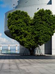 Heart Shaped Tree (Science Center)