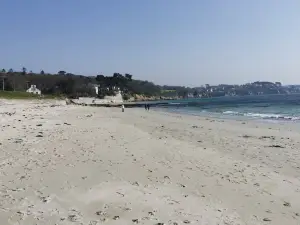 Plage du Trez Hir