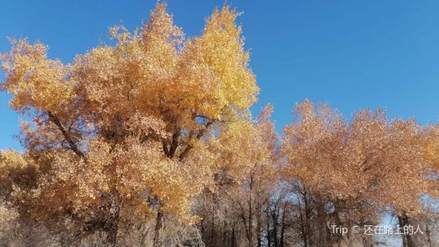 Qidaoqiao Scenic Area
