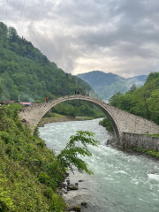 Şenyuva Bridge