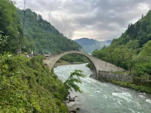 Şenyuva Bridge