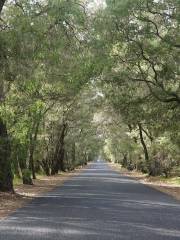 Tuart Forest National Park