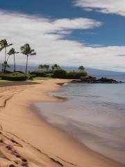 Wailea Beach