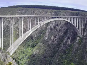Bloukrans Bungy