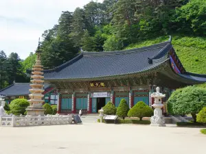 Woljeongsa Temple & Fir Tree Forest