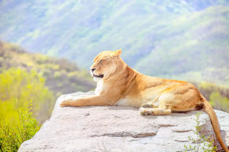 2_Badaling Wildlife World