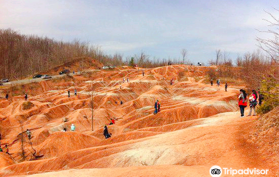 Cheltenham Badlands
