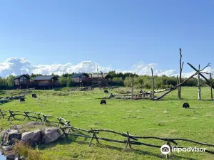 Parc Animalier de Sainte-Croix
