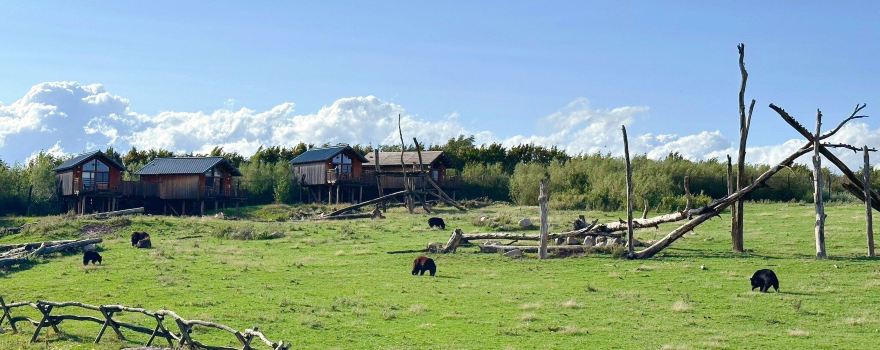 Parc Animalier de Sainte-Croix