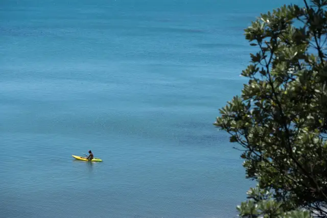 Kayaking in Wellington