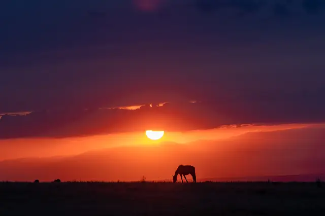 Sunset Sightseeing in Yining