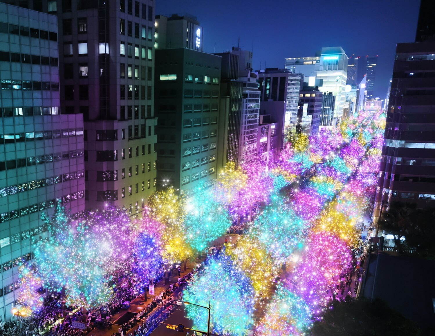 Midosuji Illumination 2024 | Osaka