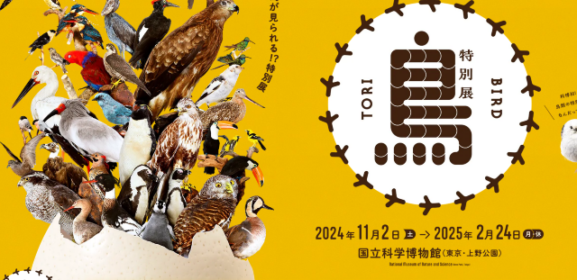 Birds - Genome analysis reveals new bird lineages - (external site) | National Museum of Nature and Science