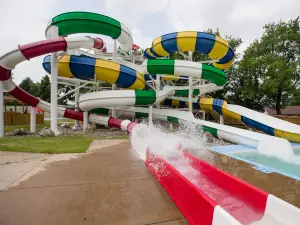 Waves of Fun