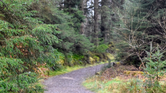 Carron Crag