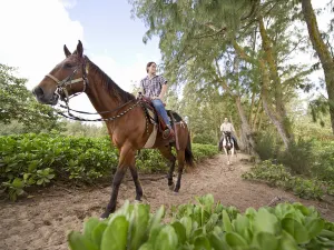 Horse Riding in Hawaii
