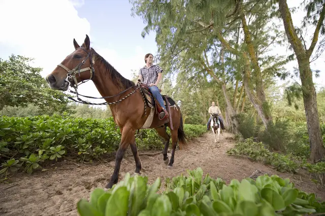 Horse Riding in Hawaii