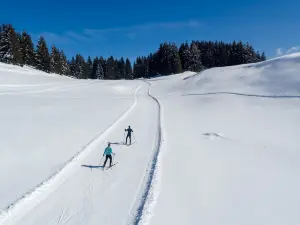 Nordic Center of Agy