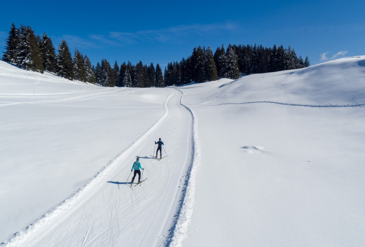 Nordic Center of Agy